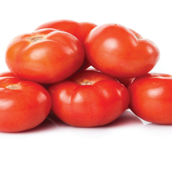 Tomato - Syria