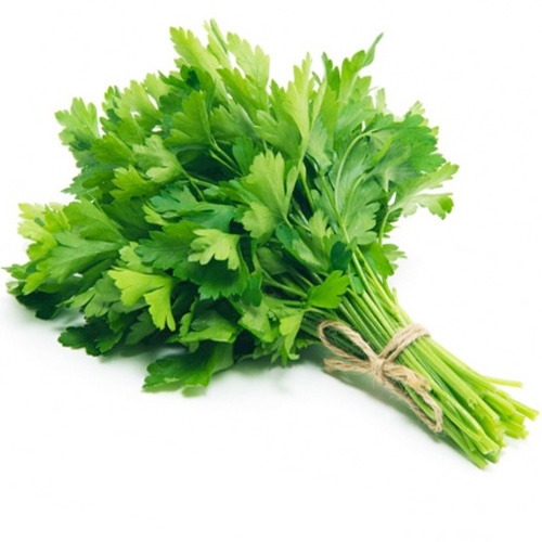 Organic Parsley - UAE