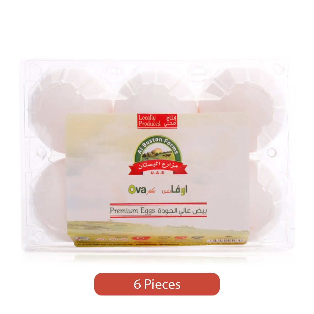 Ova-Plus-White-Eggs-Tray-Large-6-Pieces_Hero
