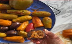 Stuffed Pepper & Eggplant